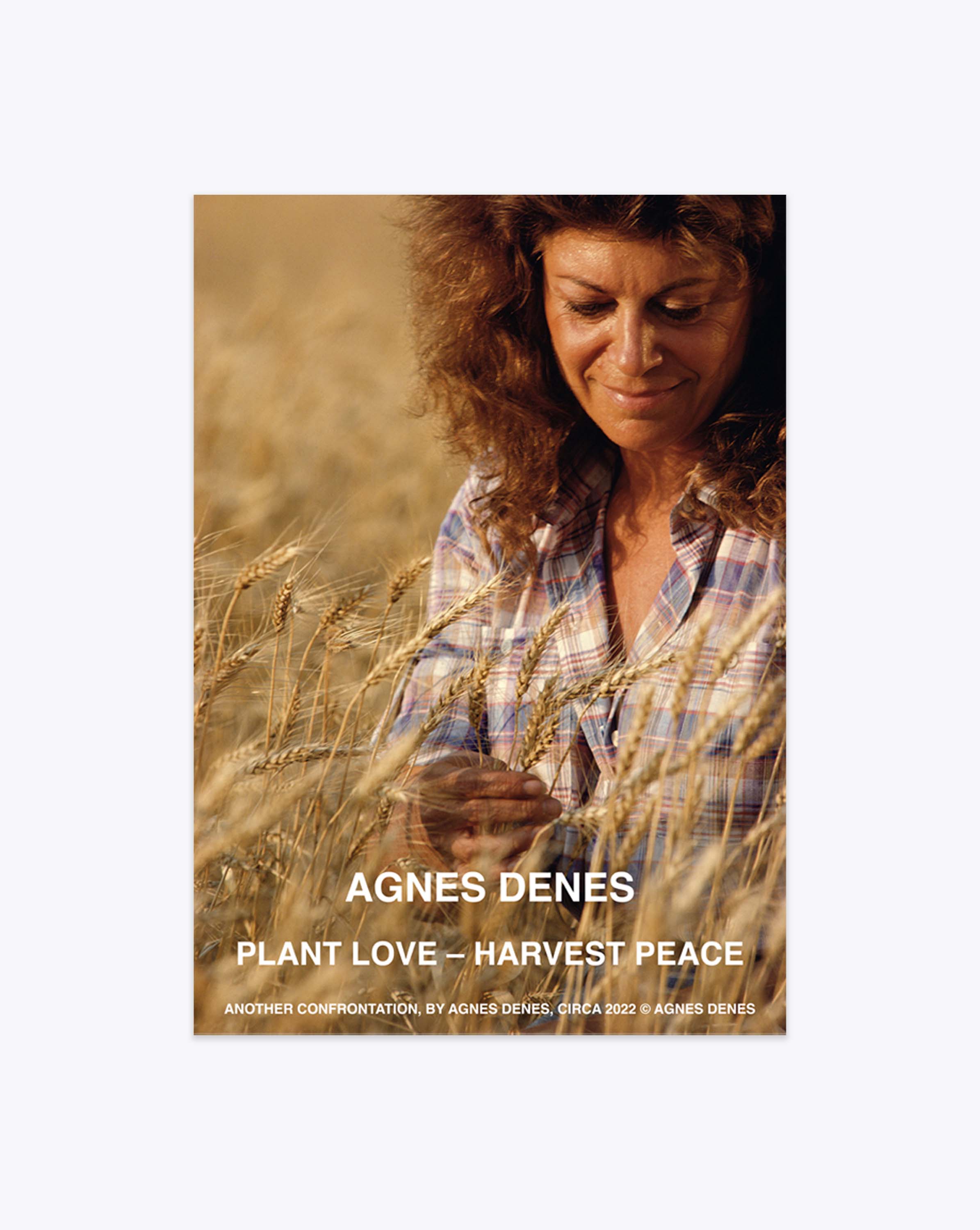 Load image into Gallery viewer, Agnes Denes
