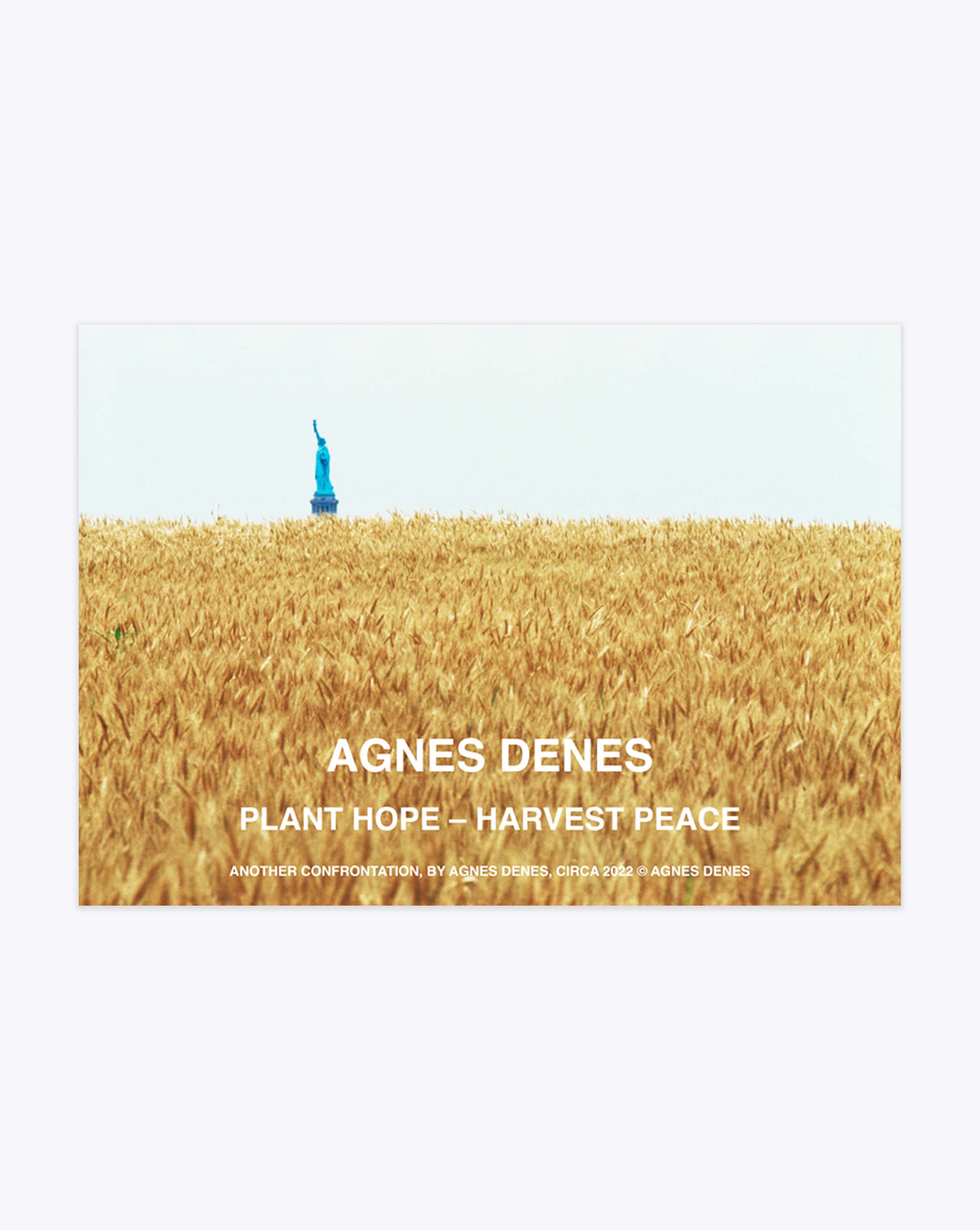Load image into Gallery viewer, Agnes Denes
