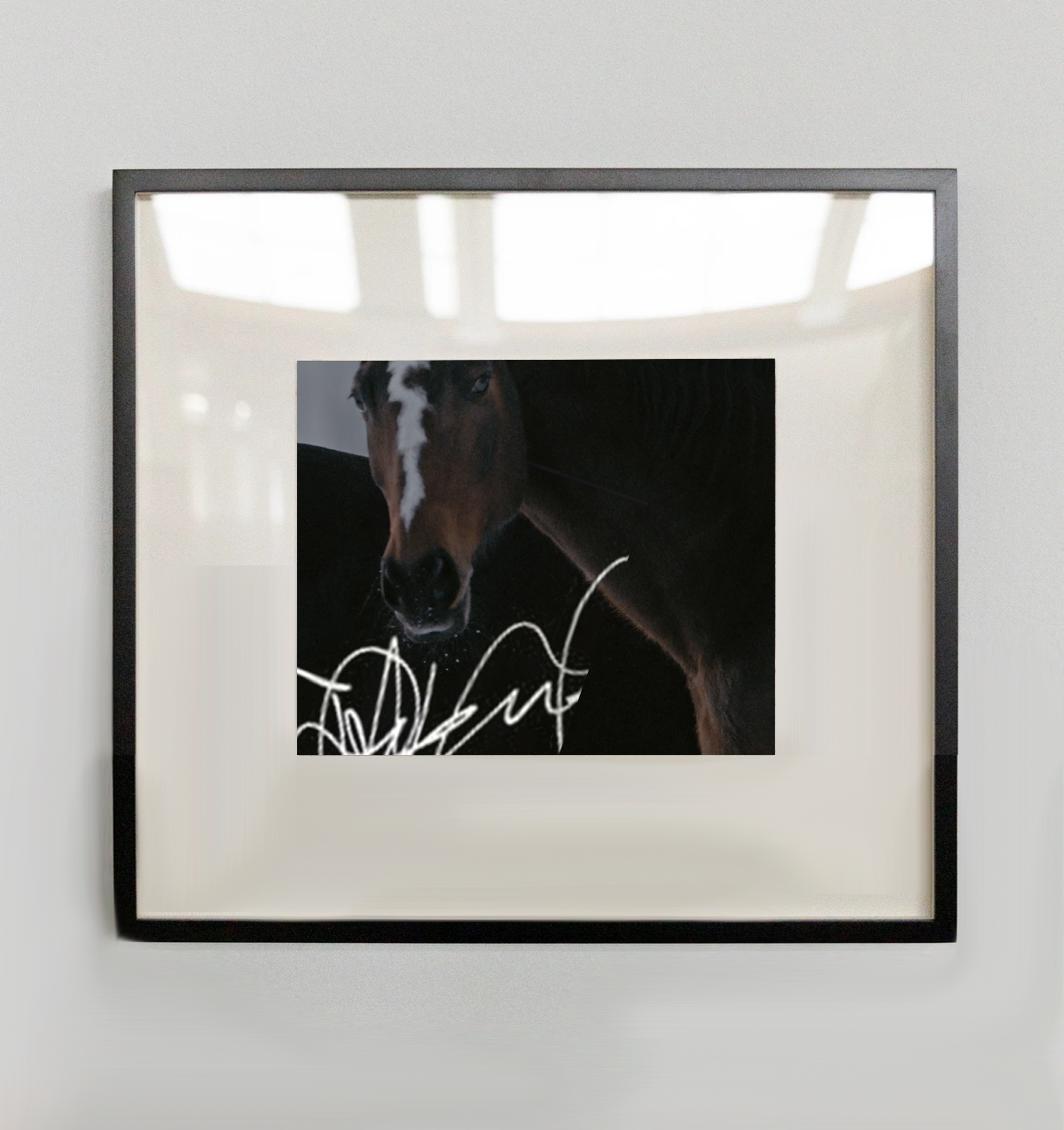 Load image into Gallery viewer, Anne Imhof
