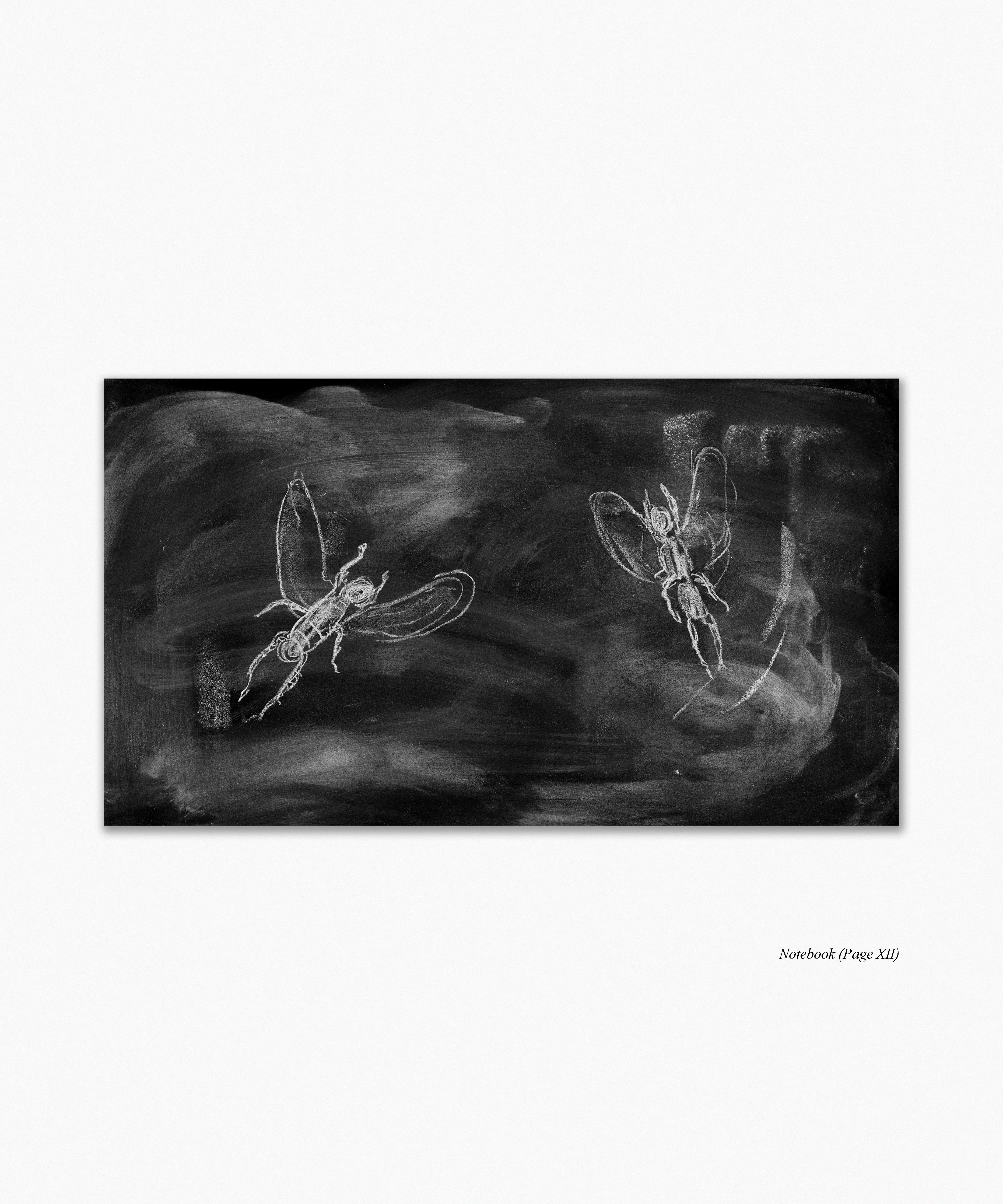 Load image into Gallery viewer, Laurie Anderson
